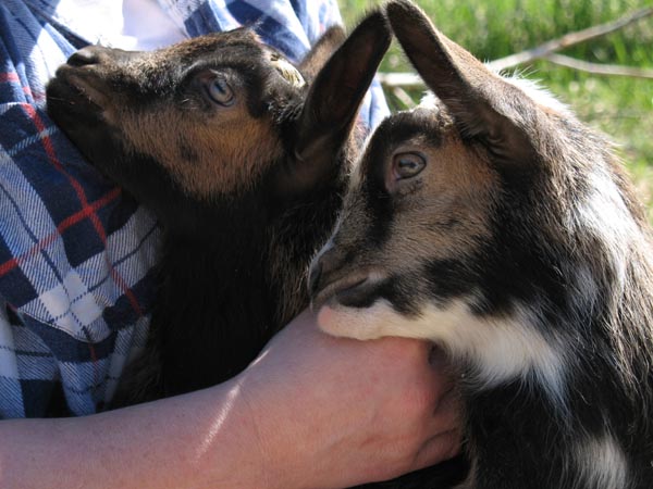 Wonderfully Snuggly Boys