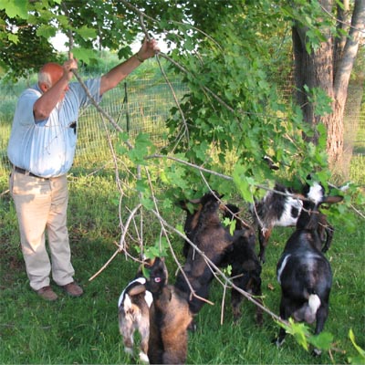 Max Feeding Kids