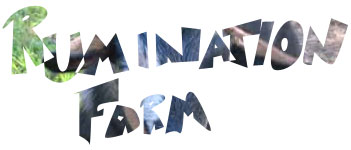 Rumination Farm